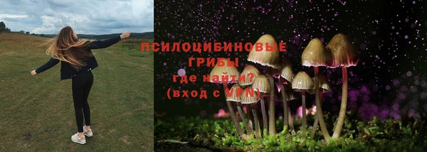 ALPHA PVP Верхнеуральск